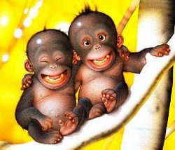 cute-monkeys.jpg